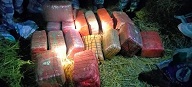 सशस्त्र प्रहरीद्धारा गाँजा बरामद